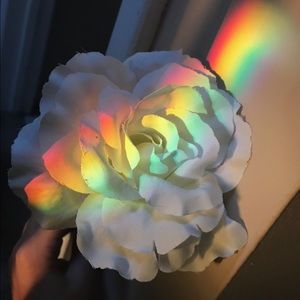 Meet your Posher, Bella